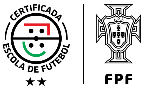 Ethics in sports flag